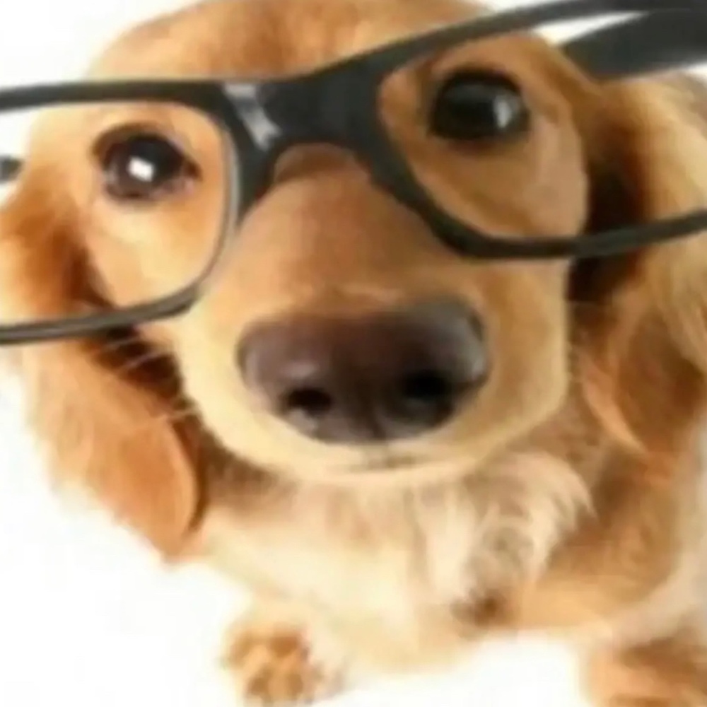 Meet your Posher, Alina